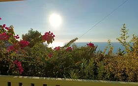 Deep Blue- Rosemary Sea View
